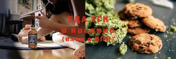 индика Алзамай
