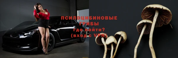 спайс Алексин