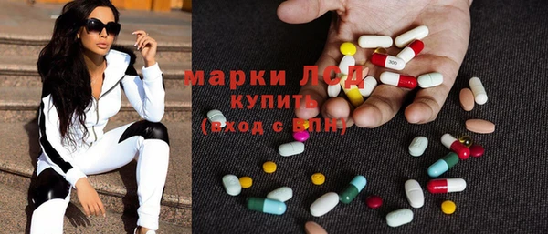 индика Алзамай