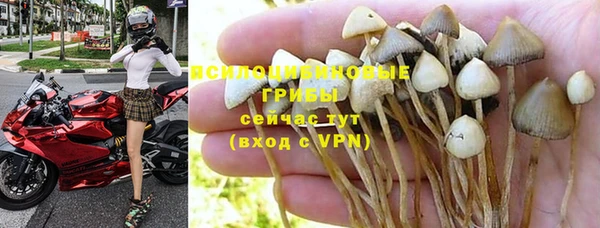 индика Алзамай
