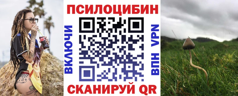 Псилоцибиновые грибы GOLDEN TEACHER где купить наркоту Наволоки